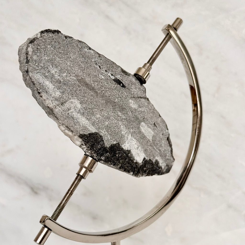 Orthoceras Fossil + Chrome Arc Stand
