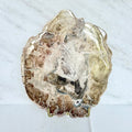Petrified Wood + Acrylic/Brass Stand
