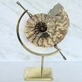 Ammonite Fossil + Brass Arc Stand