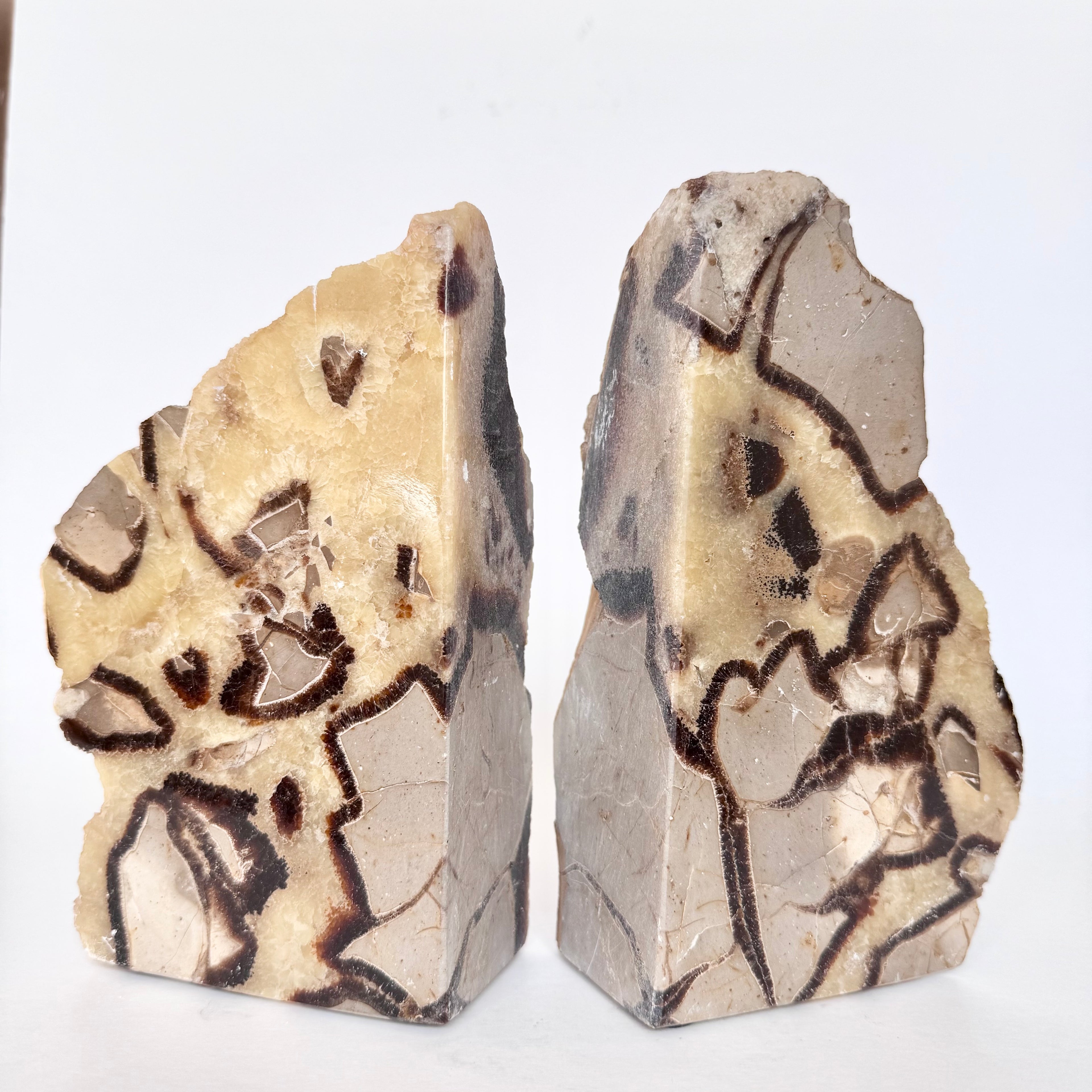 Septarian Stone Bookend