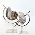 Chrome Arc Stand