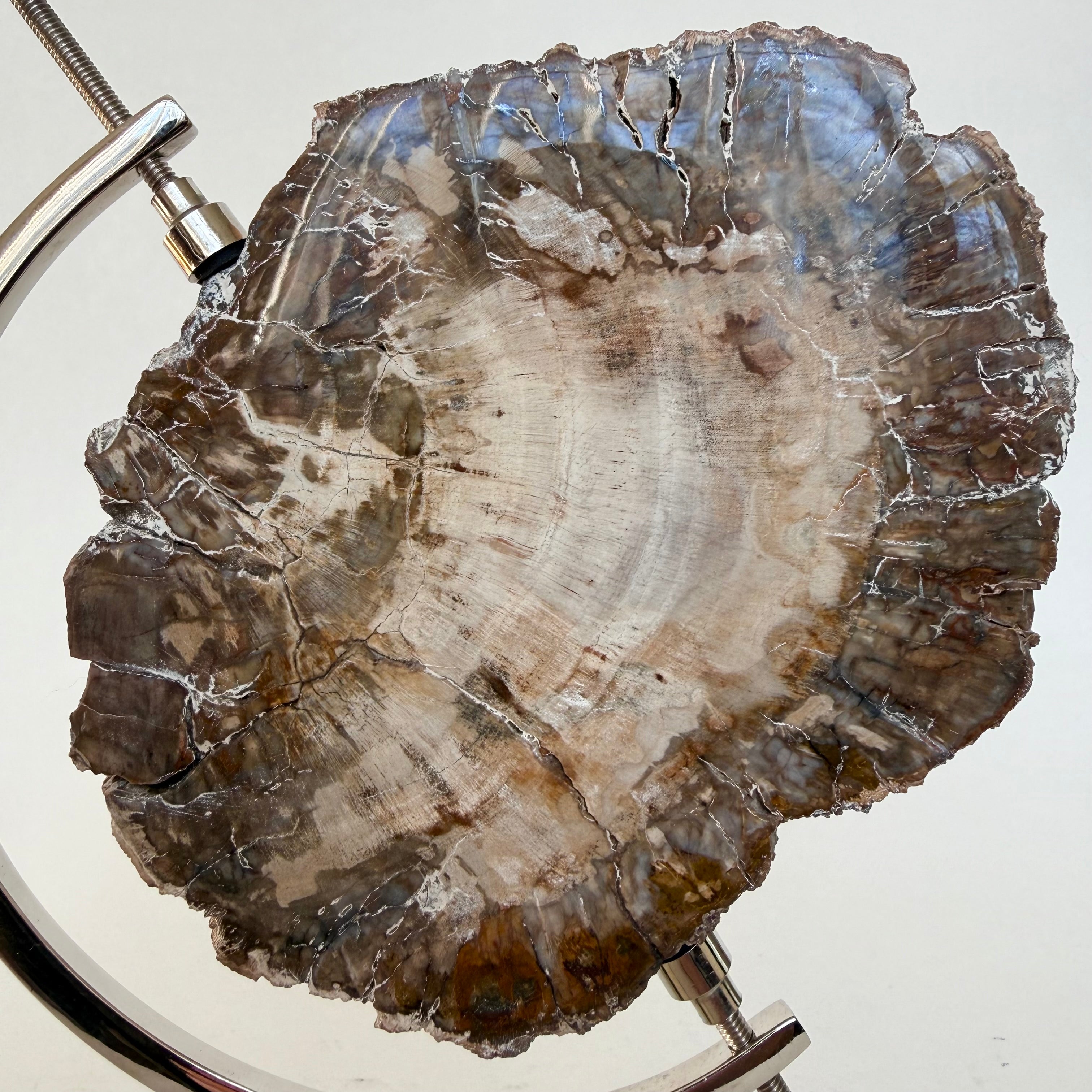 Petrified Wood + Chrome Stand