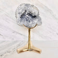 Celestite + Brass Claw Stand