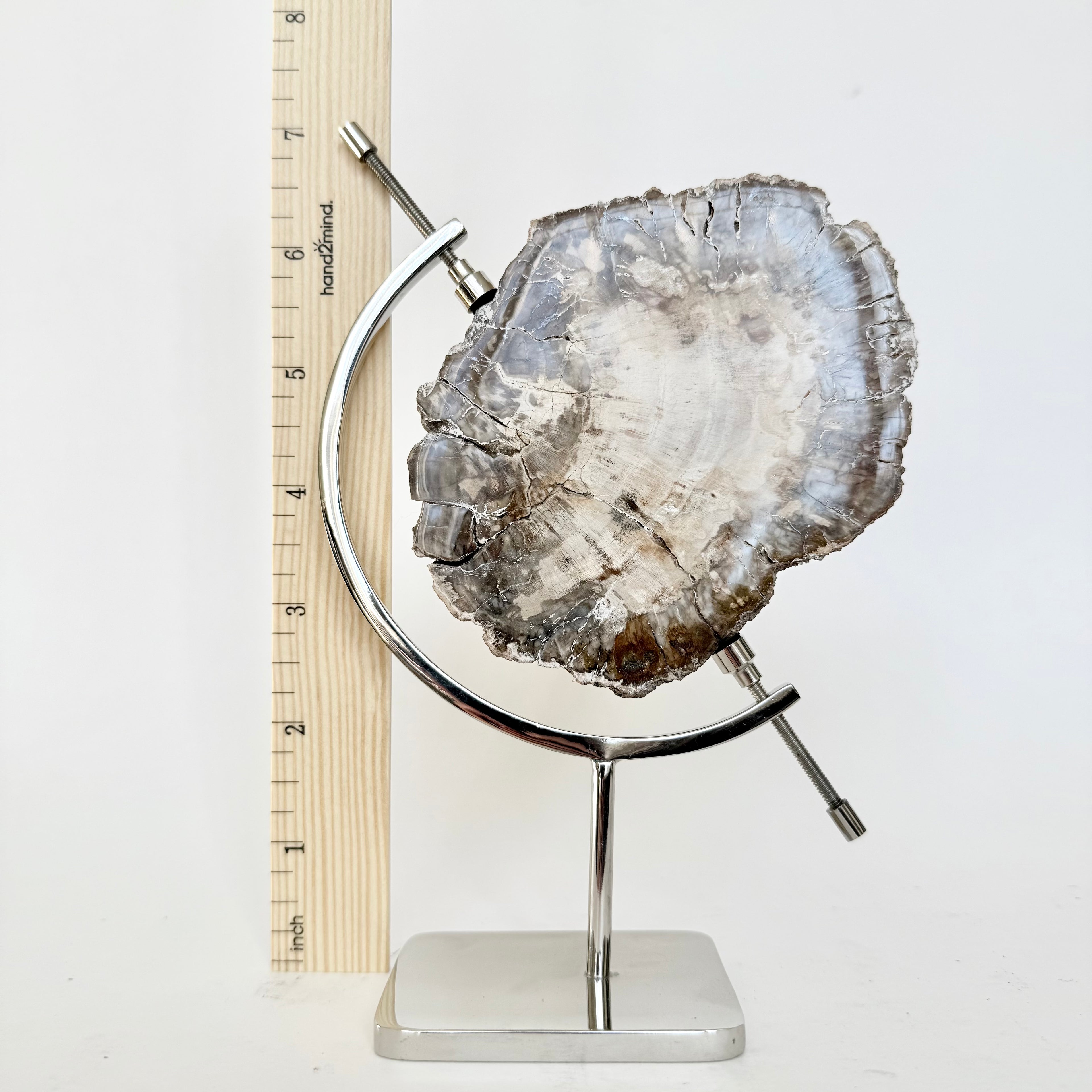 Petrified Wood + Chrome Stand