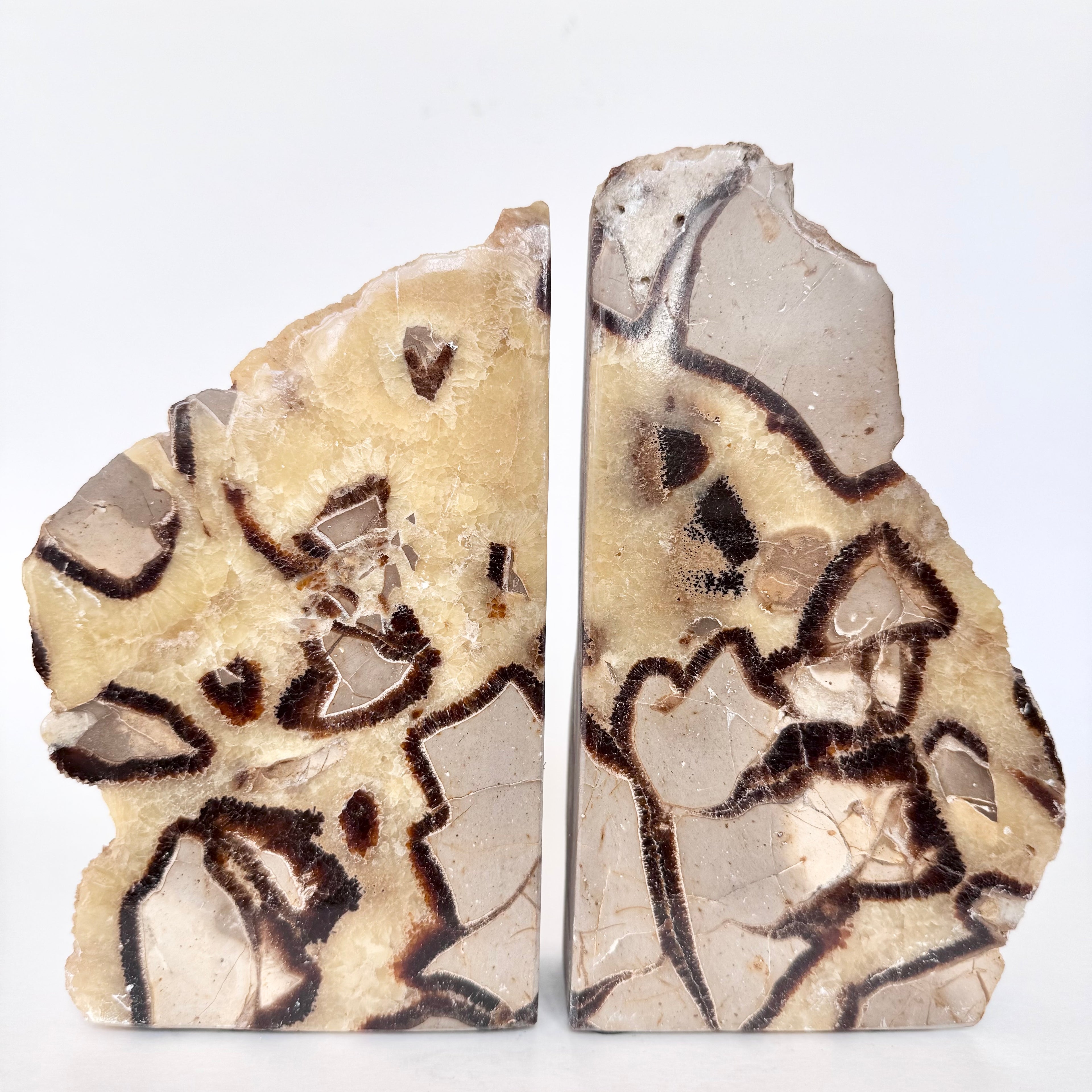 Septarian Stone Bookend