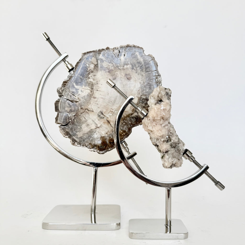 Petrified Wood + Chrome Stand