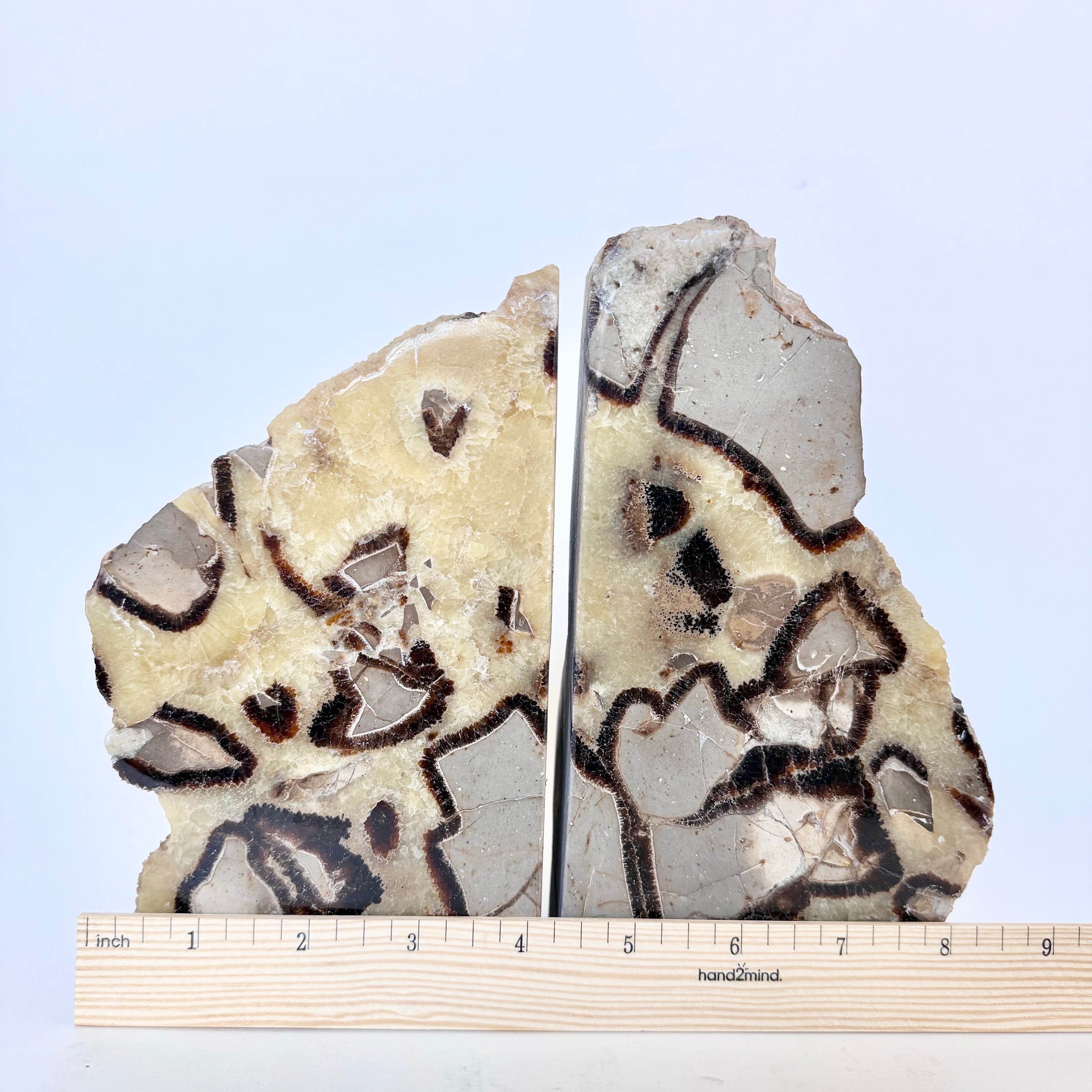 Septarian Stone Bookend