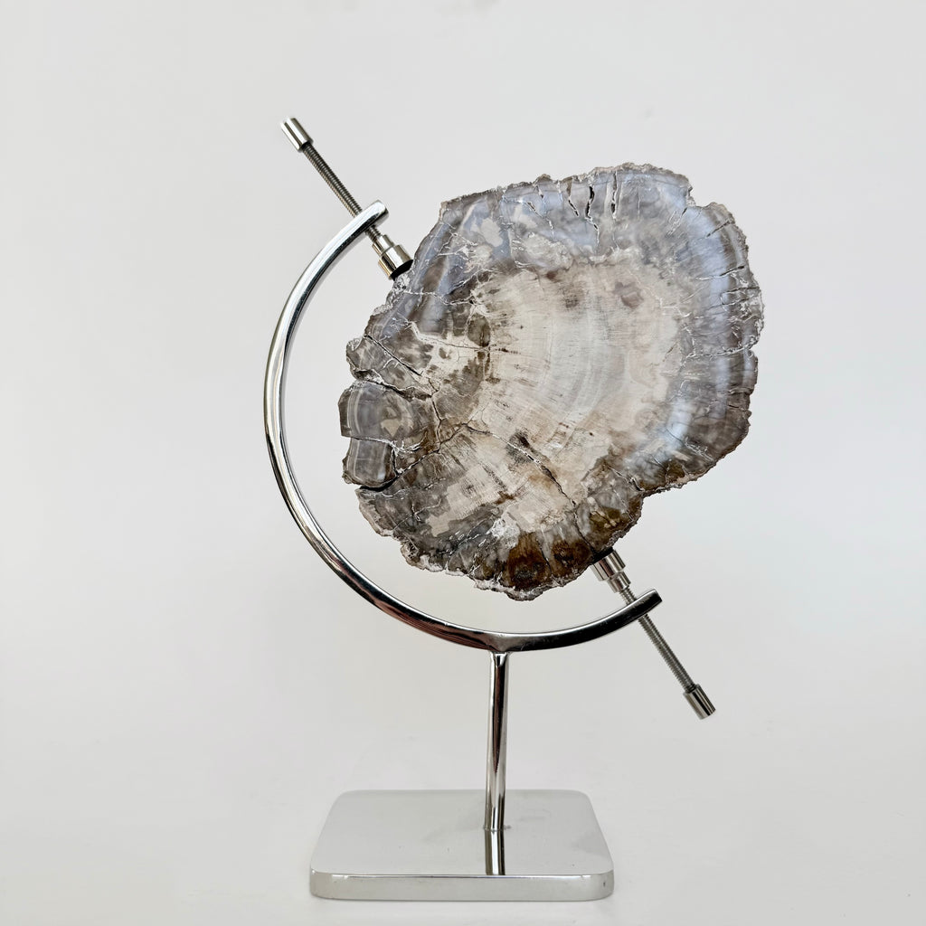 Petrified Wood + Chrome Stand