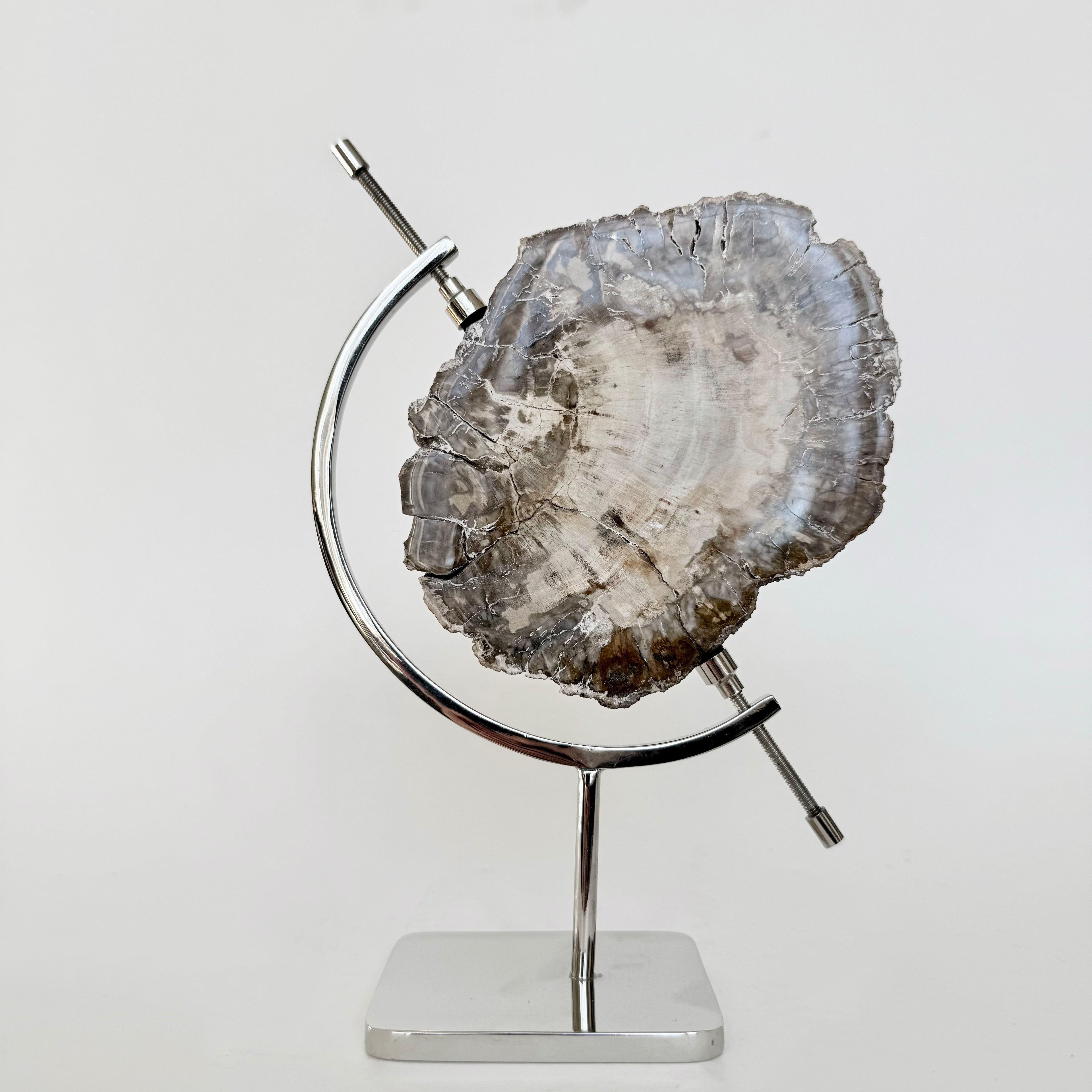 Petrified Wood + Chrome Stand