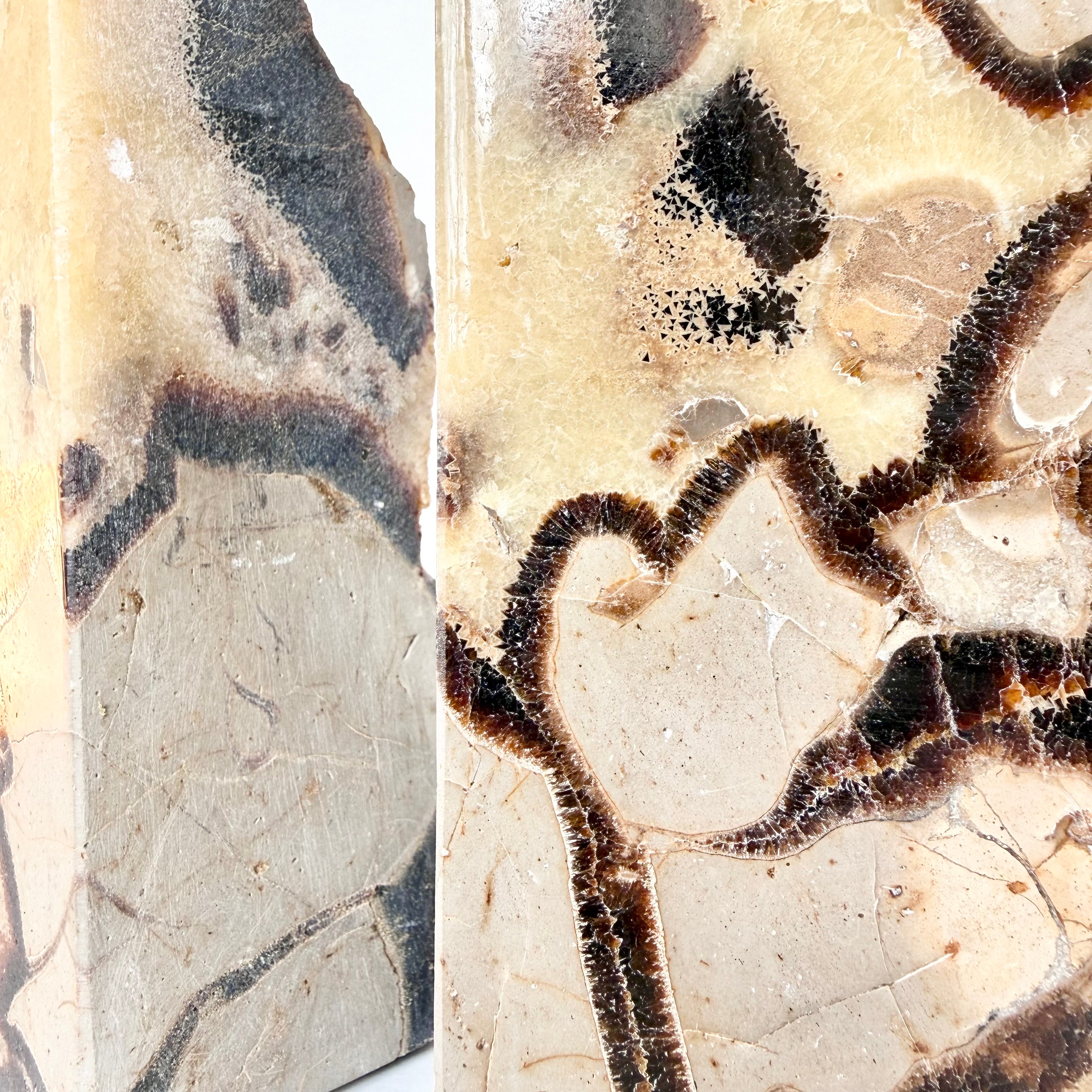 Septarian Stone Bookend