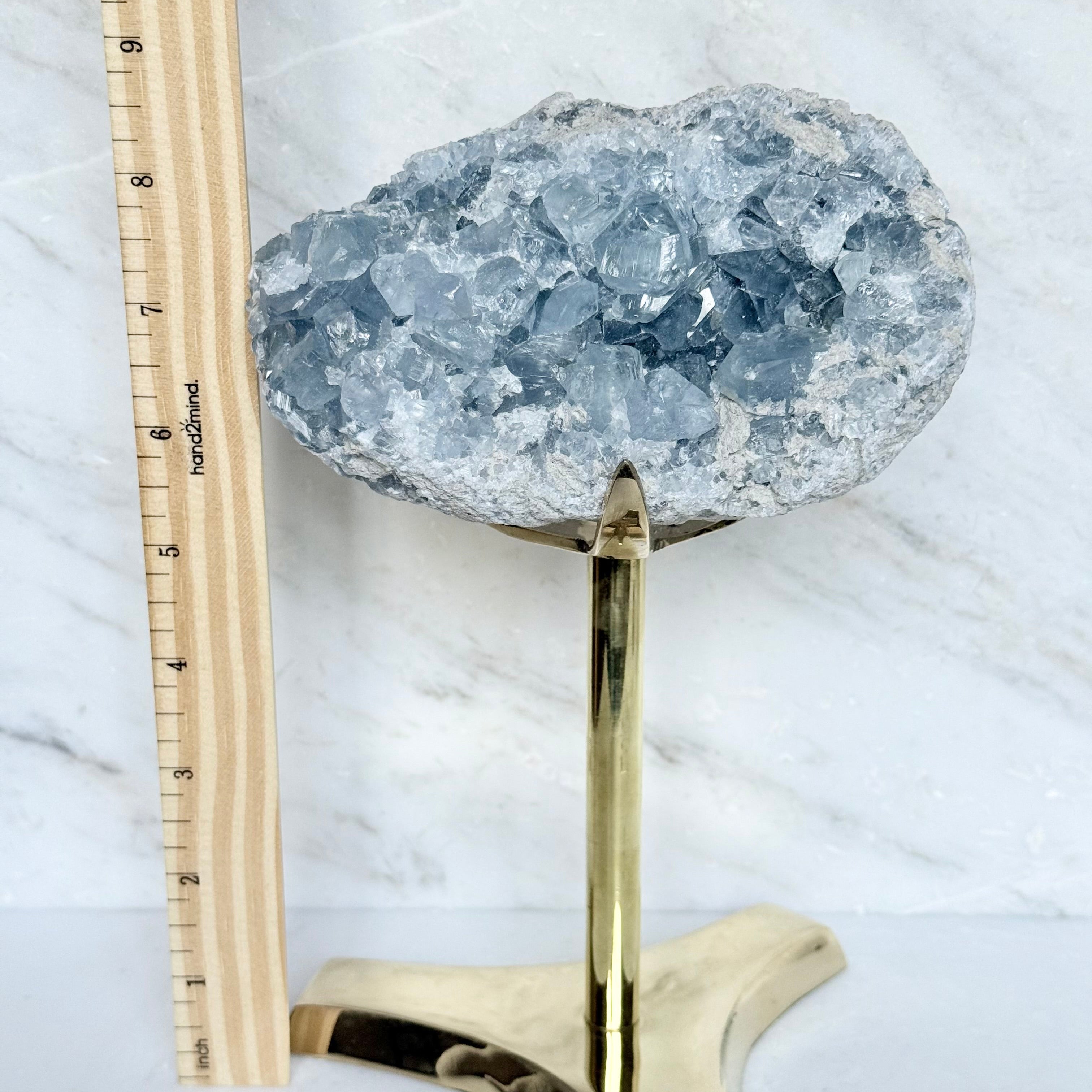 Celestite + Brass Claw Stand